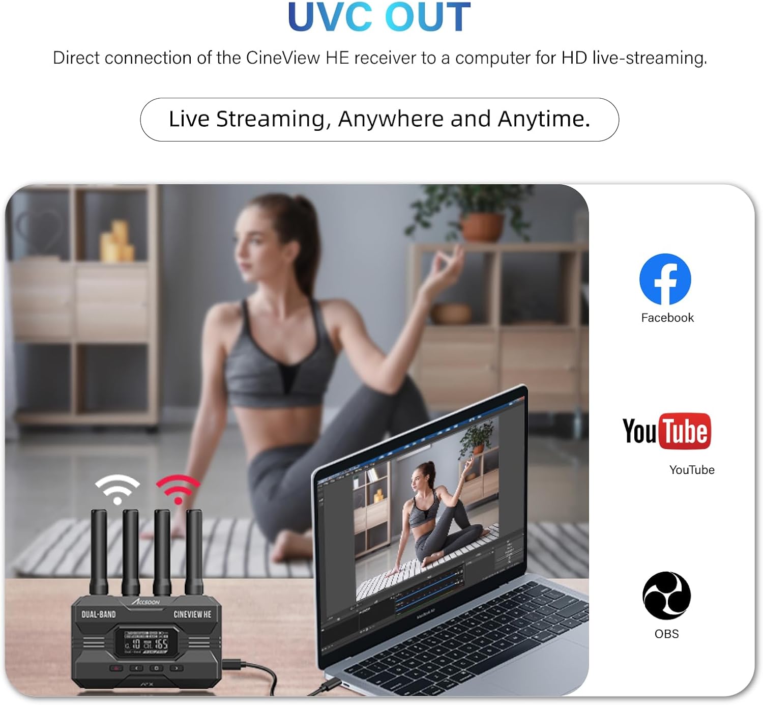 ACCSOON CineView HE HDMI Video - Home Cinema Wireless 评论和价格